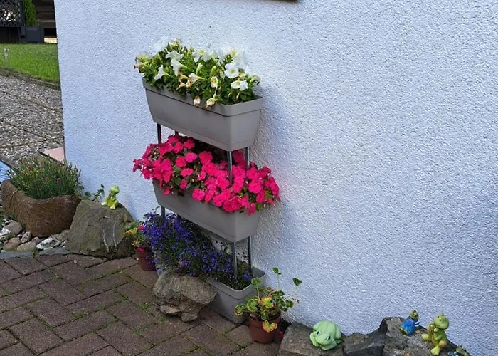 Friedrichsruh برونلاغ